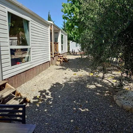 Fishers Paradise Am Ebro Zaragoza Mequinenza