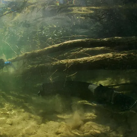 Fishers Paradise Am Ebro Zaragoza Campingplatz