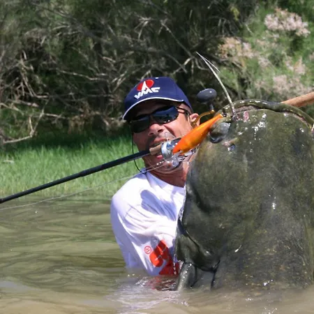 Campingplatz Fishers Paradise Am Ebro Zaragoza Mequinenza